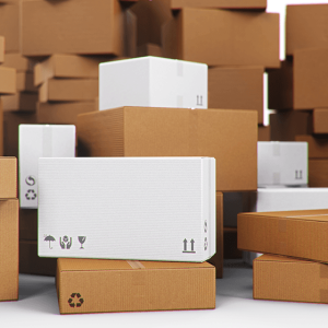 CARTON BOX SMALL FOR ESHOP